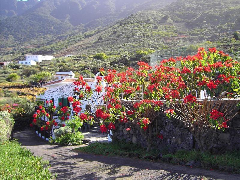 Complejo Rural La Brujita Hotel Tigaday Buitenkant foto